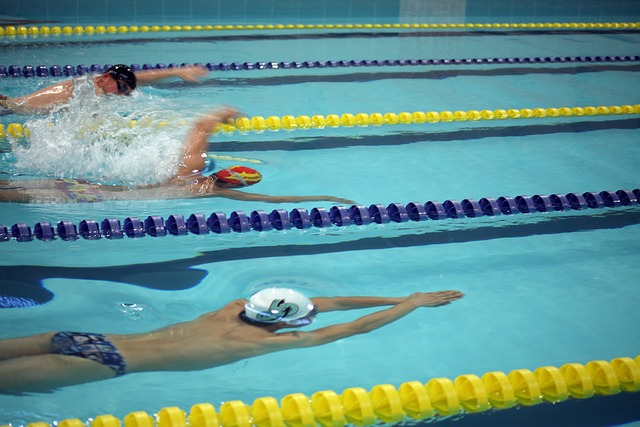 高水平赛事 高水平赛事