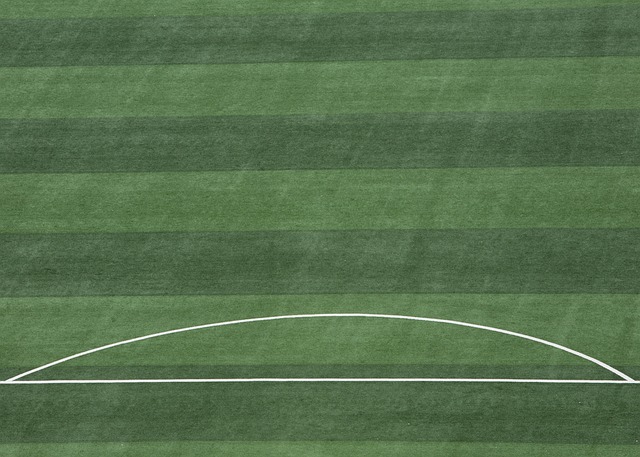 廣東籃球強 廣東籃球強