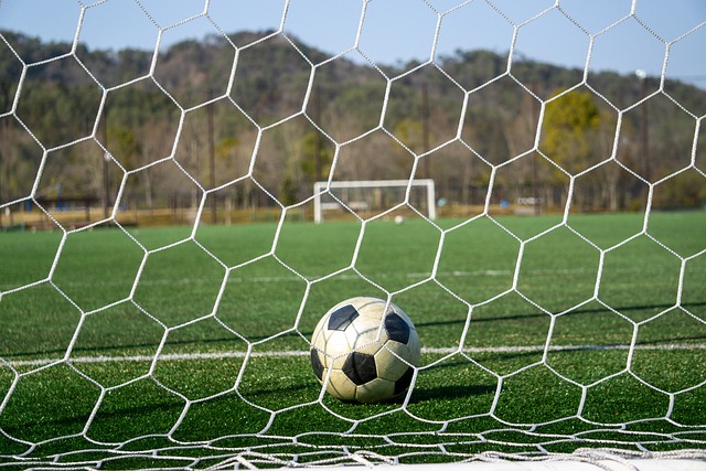 马刺不依赖 马刺不依赖