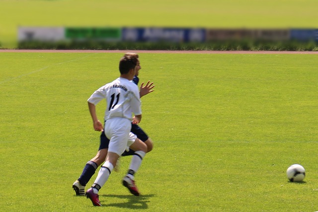 技术全面的 技术全面的