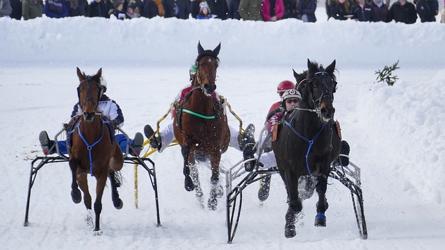 这不仅引发 这不仅引发