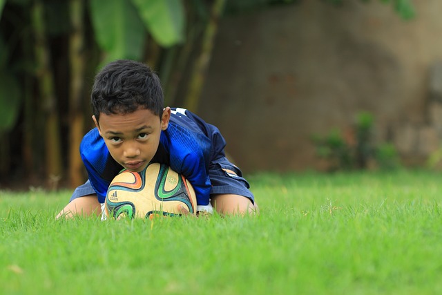 RFEF